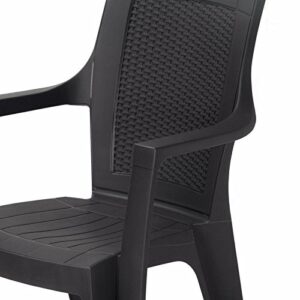 Nilkamal Plastic Premium Chair(Black, Set of 2) 2