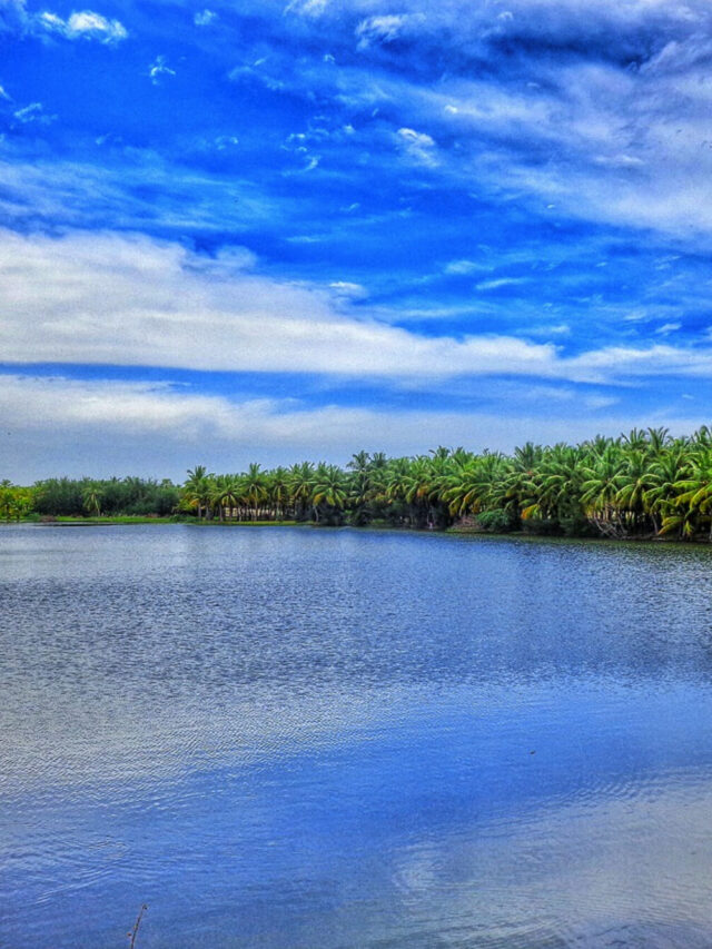 Why Two Independence Days In Puducherry?